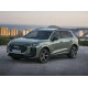 Коврики в салон Audi Q3 FJ (2025-н.в.). Доставка по Беларуси.