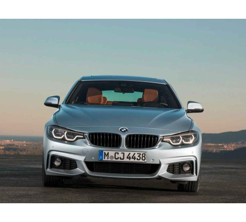Коврики BMW 4 F32 F33 F36 (2013-2021) в салон авто, коврик в багажник купить в Минске, быстрая доставка в любой город.