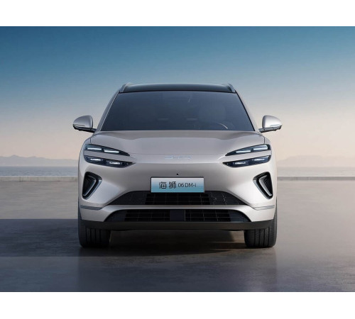 Коврики EVA для BYD Sea Lion 06 EV (2025-н.в.) в салон, багажник купить в Минске. Доставка по Беларуси.