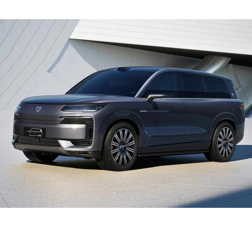 Коврики EVA в салон авто, багажник для Denza N9 (2024-н.в.) купить в Минске, быстрая ДОСТАВКА по Беларуси.