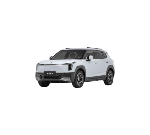 Dongfeng Vigo (2025-н.в.) коврики EVA в салон, багажник купить в Минске, БЫСТРАЯ ДОСТАВКА ПО БЕЛАРУСИ.