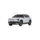 Dongfeng Vigo (2025-н.в.) коврики EVA в салон, багажник купить в Минске, БЫСТРАЯ ДОСТАВКА ПО БЕЛАРУСИ.