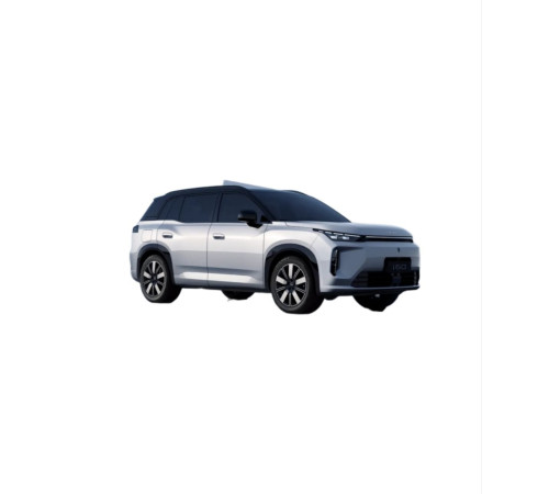 GAC AION i60 (2025-н.в.) коврики в салон, багажник  купить в Минске, БЫСТРАЯ ДОСТАВКА ПО БЕЛАРУСИ.