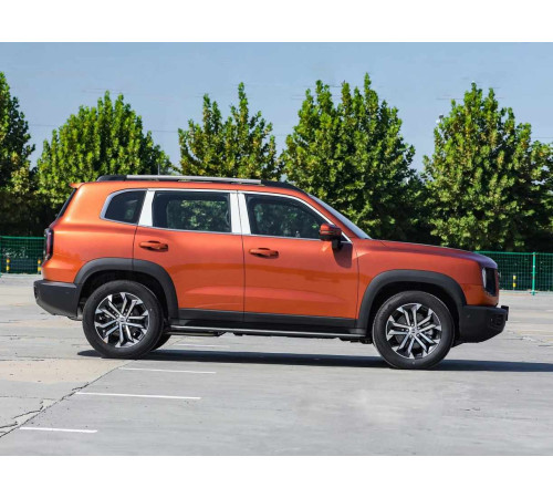 Коврики Haval Dargo (Хавал Дарго) 2022-н.в.коврики в салон авто, коврик в багажник купить в Минске, быстрая доставка в любой город.