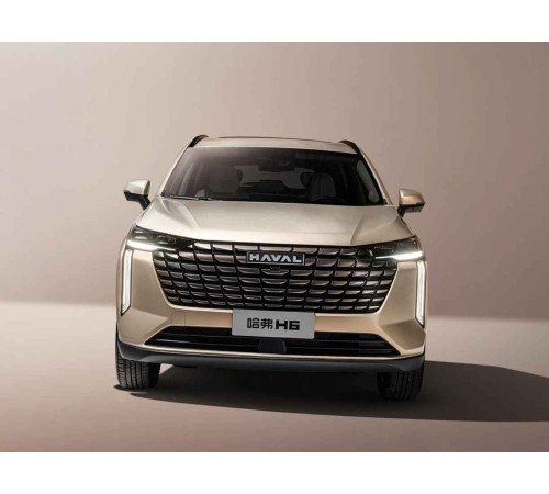 Haval H6 3пок (2020-н.в.) коврики в салон авто, коврик в багажник купить в Минске, быстрая доставка в любой город.