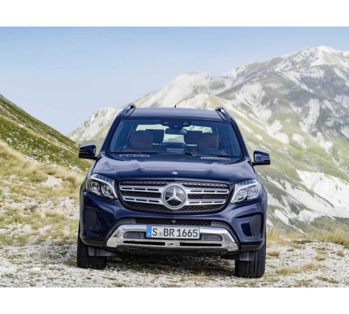 Mercedes-Benz GLS (2015-2019) (X166) автоковрики ЭВА в салон, багажник купить в Минске, БЫСТРАЯ ДОСТАВКА ПО БЕЛАРУСИ. 