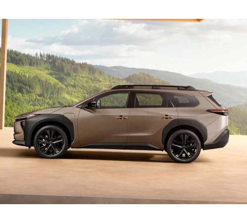 Автоковрики в салон, багажник для Toyota bZ4X (2022-н.в.) купить в Минске, БЫСТРАЯ ДОСТАВКА ПО БЕЛАРУСИ. 
