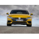 Коврики в салон, багажник для Volkswagen Arteon (2017-2024). Доставка по Беларуси.