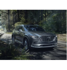 Mazda CX-9 2 (TC) (2016-н.в.)